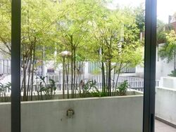 Milford Villas (D13), Terrace #477260851